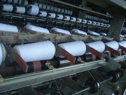 蒼南縣望里鎮海島清潔用品廠 專業清潔服務，守護環境之美